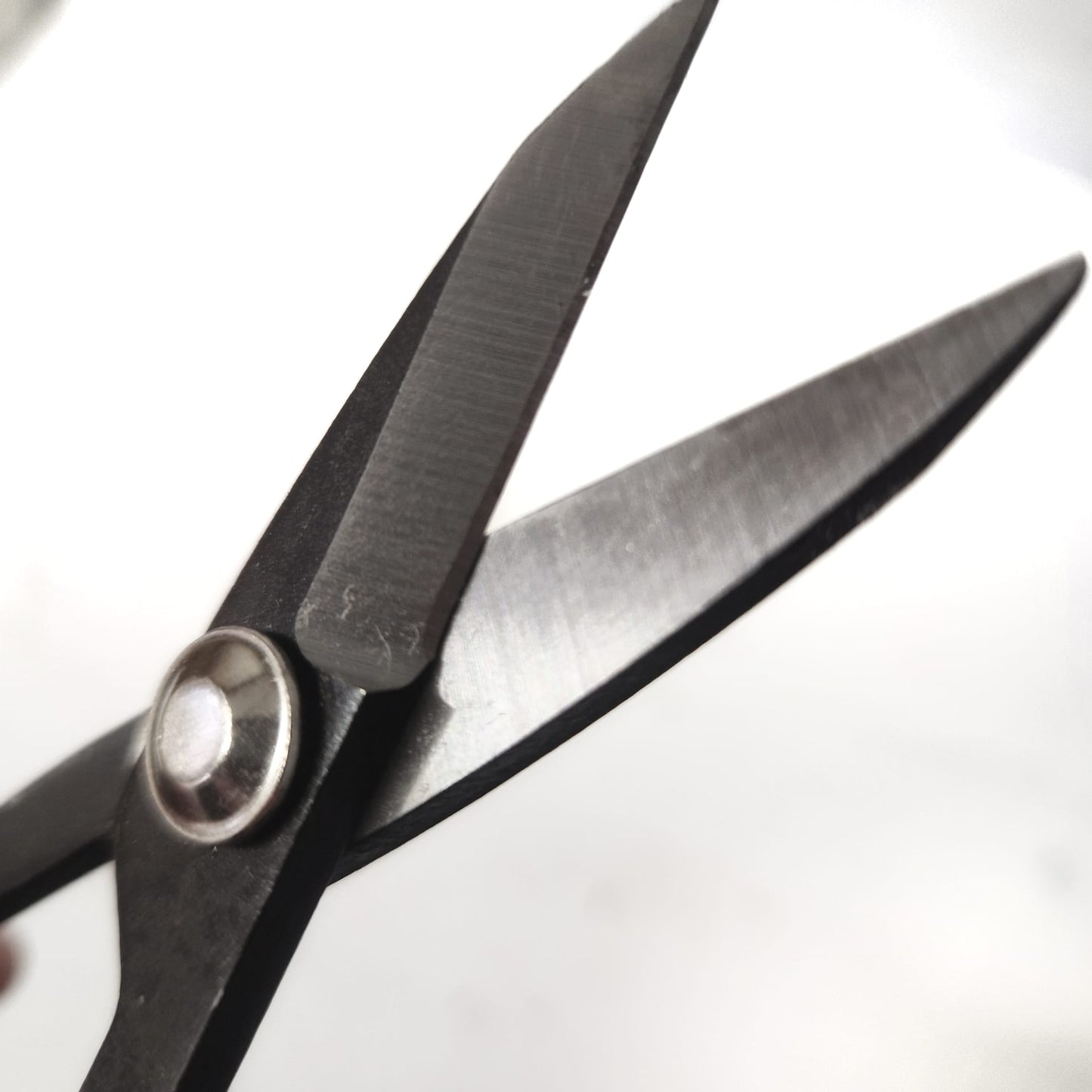 Bonsai Pruning Scissors